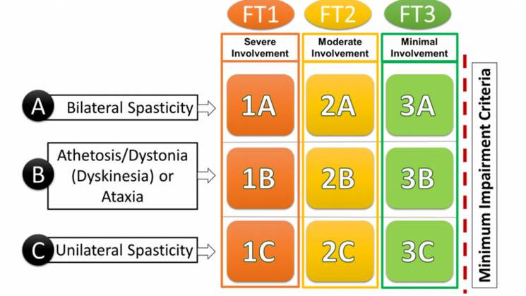 Classification