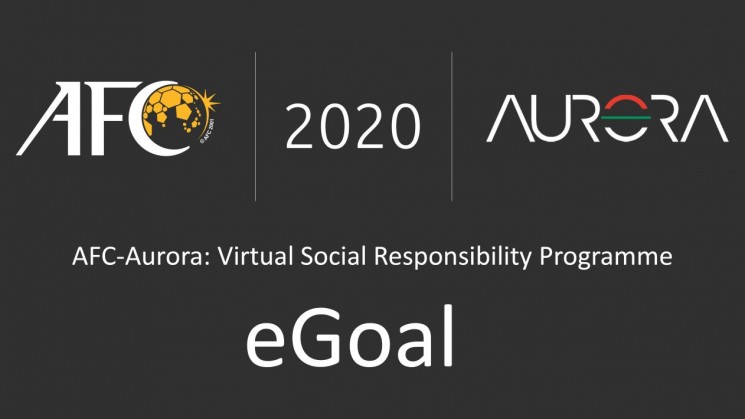 Virtual Social Responsibility Programme